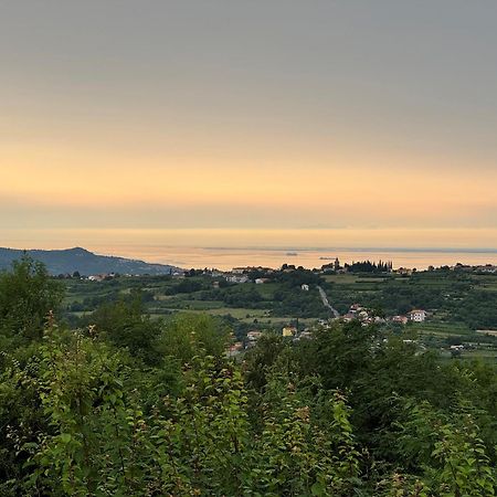 Guesthouse Green Istria تروشكي المظهر الخارجي الصورة