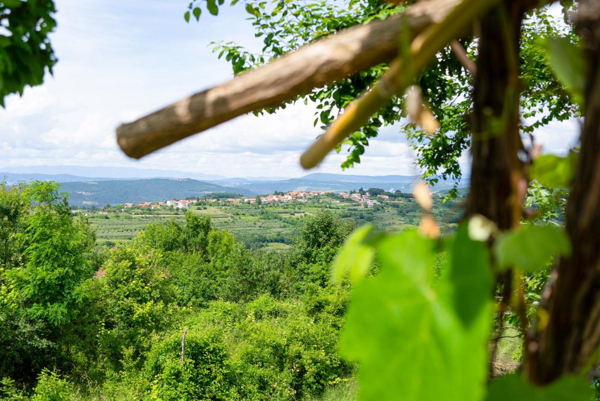 Guesthouse Green Istria تروشكي المظهر الخارجي الصورة