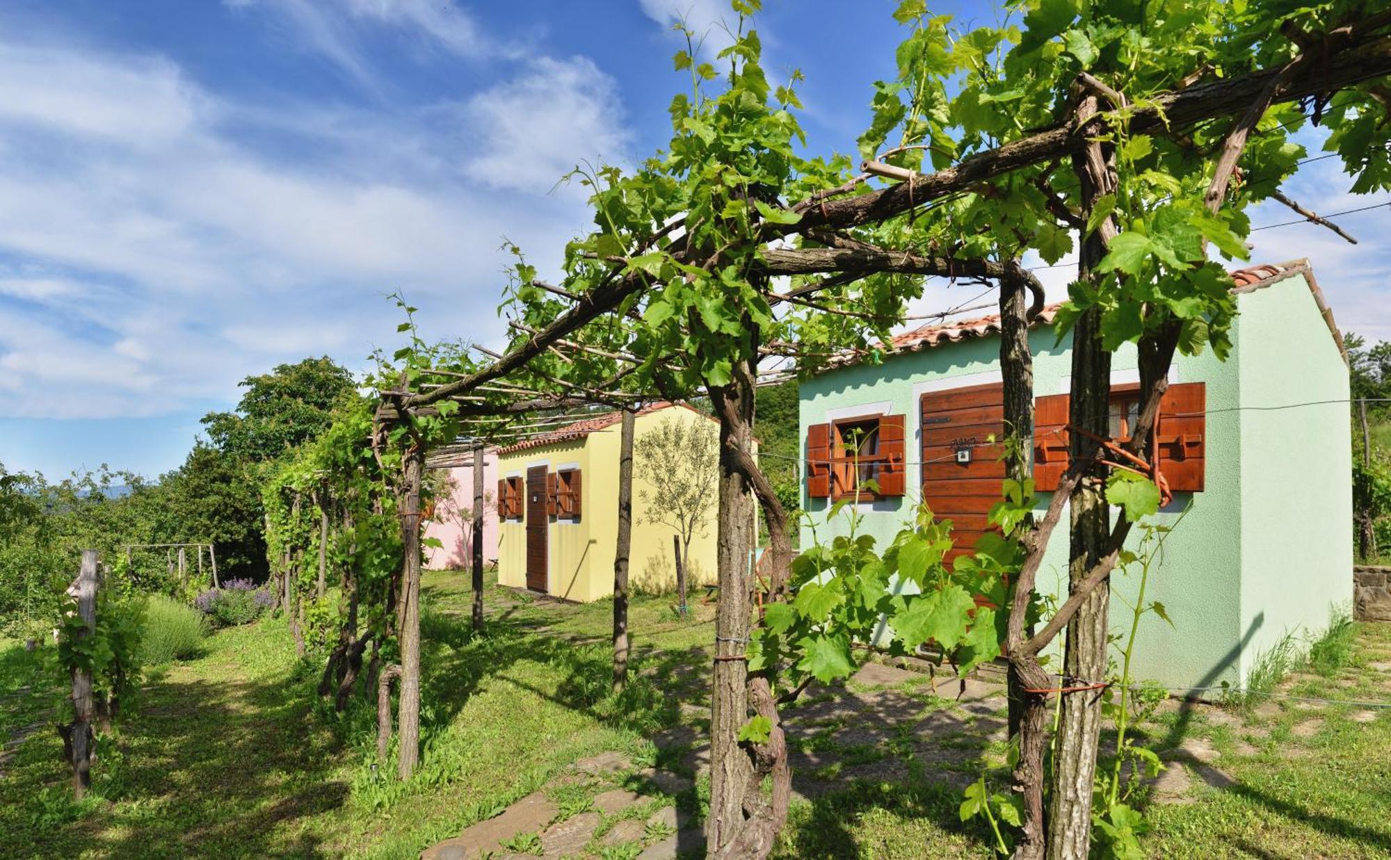 Guesthouse Green Istria تروشكي المظهر الخارجي الصورة