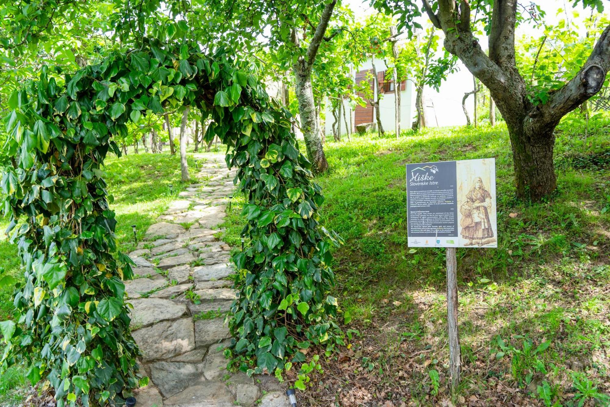 Guesthouse Green Istria تروشكي المظهر الخارجي الصورة