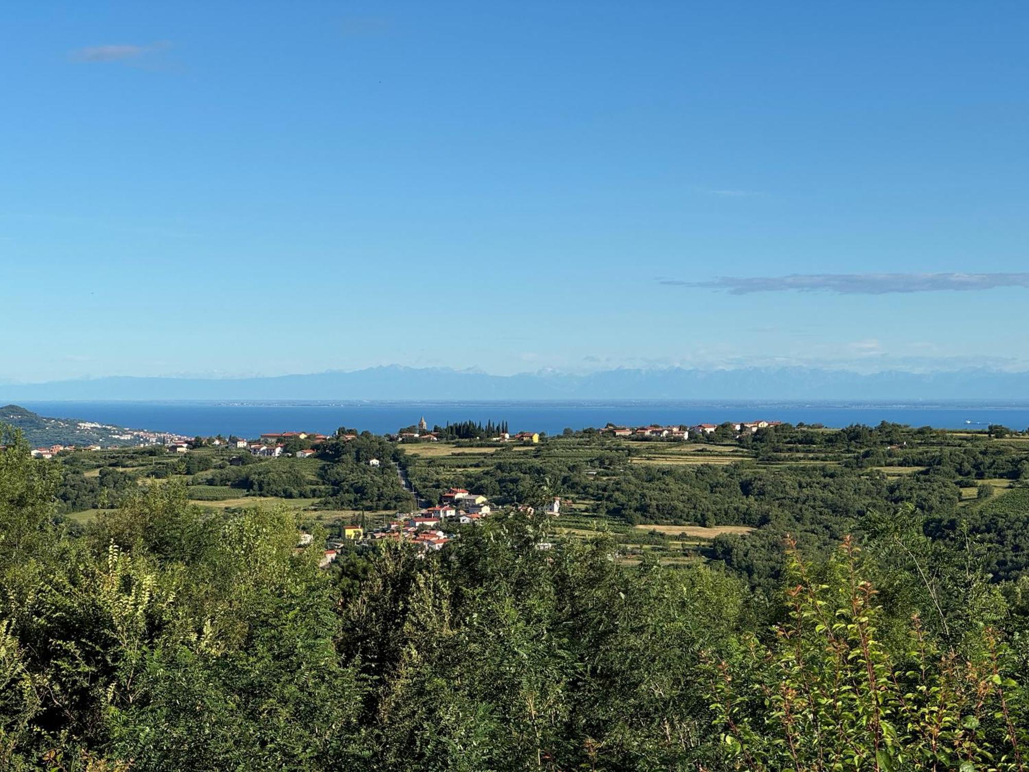 Guesthouse Green Istria تروشكي المظهر الخارجي الصورة