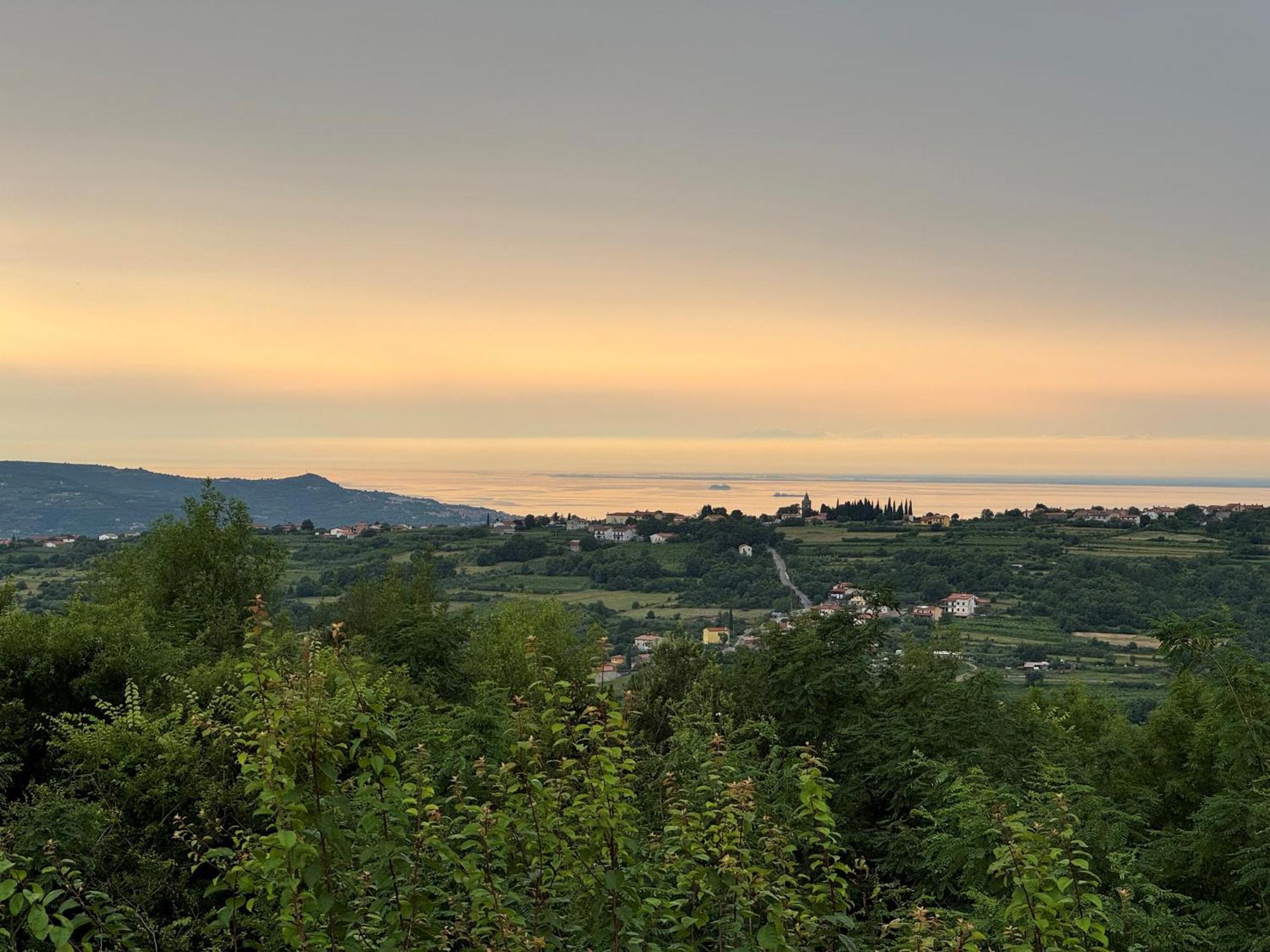 Guesthouse Green Istria تروشكي المظهر الخارجي الصورة